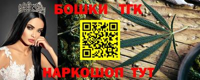 тгк Долгопрудный