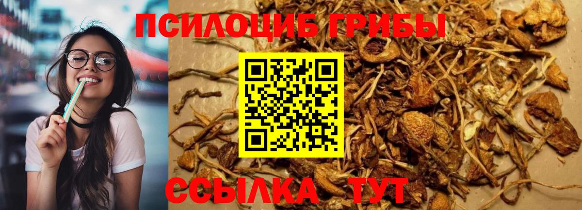 Псков  Псилоцибиновые грибы ЛСД  Вход с VPN  Галлюциногенные грибы Psilocybine cubensis 