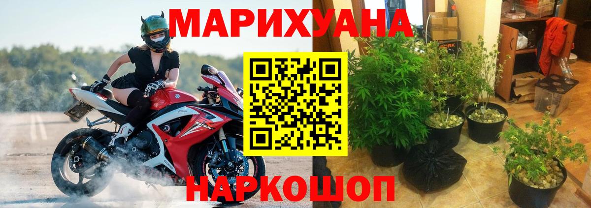 МАРИХУАНА ГИДРОПОН Псков